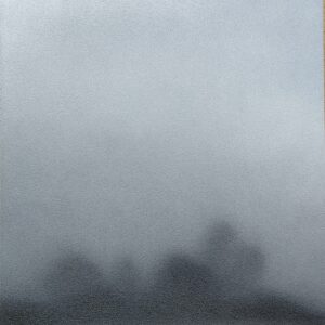 La dissolvenza dell'osservare